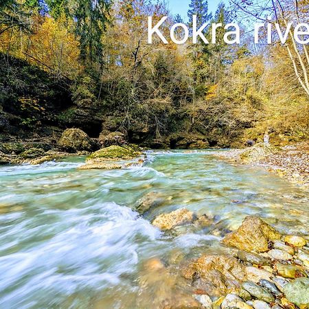 Domen'S Cozy Rentals Kranj Zewnętrze zdjęcie