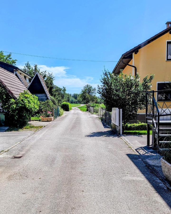 Domen'S Cozy Rentals Kranj Zewnętrze zdjęcie