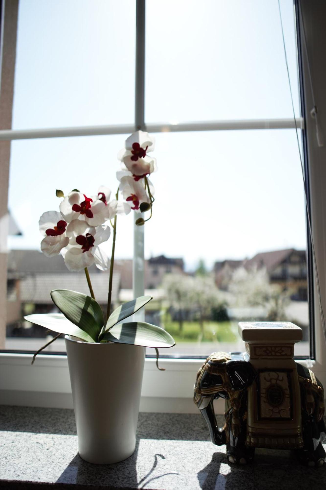 Domen'S Cozy Rentals Kranj Zewnętrze zdjęcie