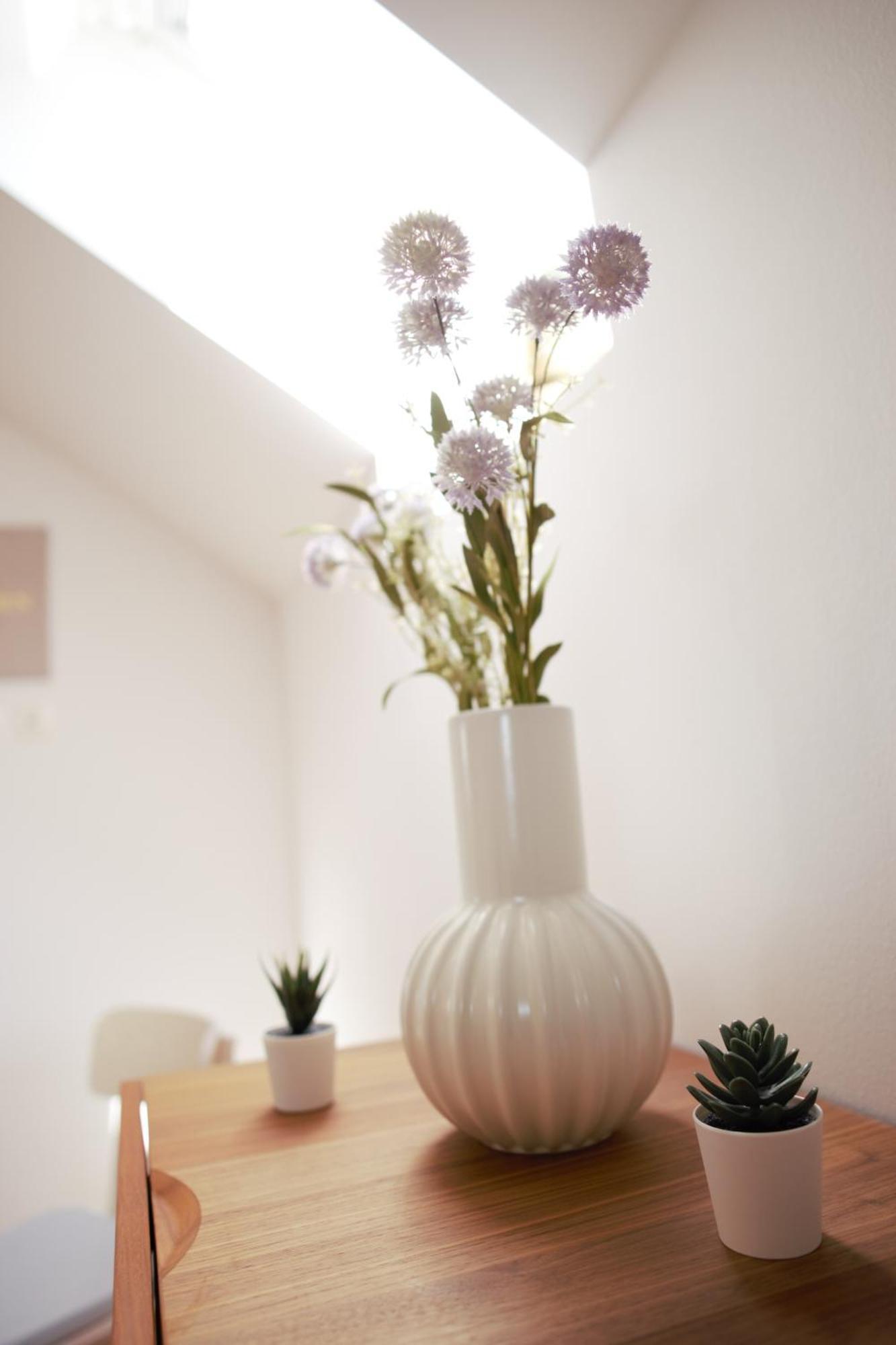 Domen'S Cozy Rentals Kranj Zewnętrze zdjęcie