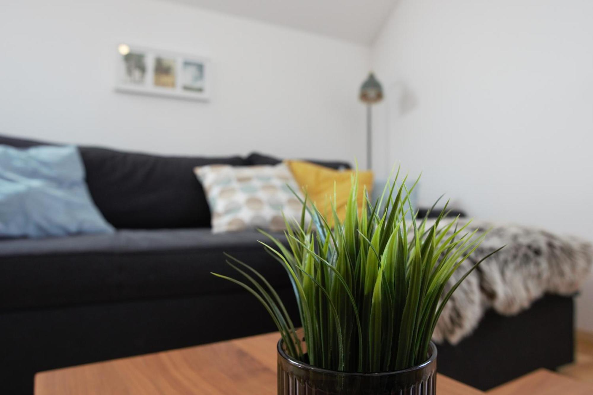 Domen'S Cozy Rentals Kranj Zewnętrze zdjęcie