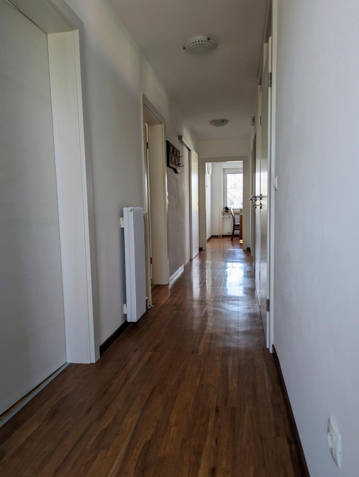 Domen'S Cozy Rentals Kranj Zewnętrze zdjęcie
