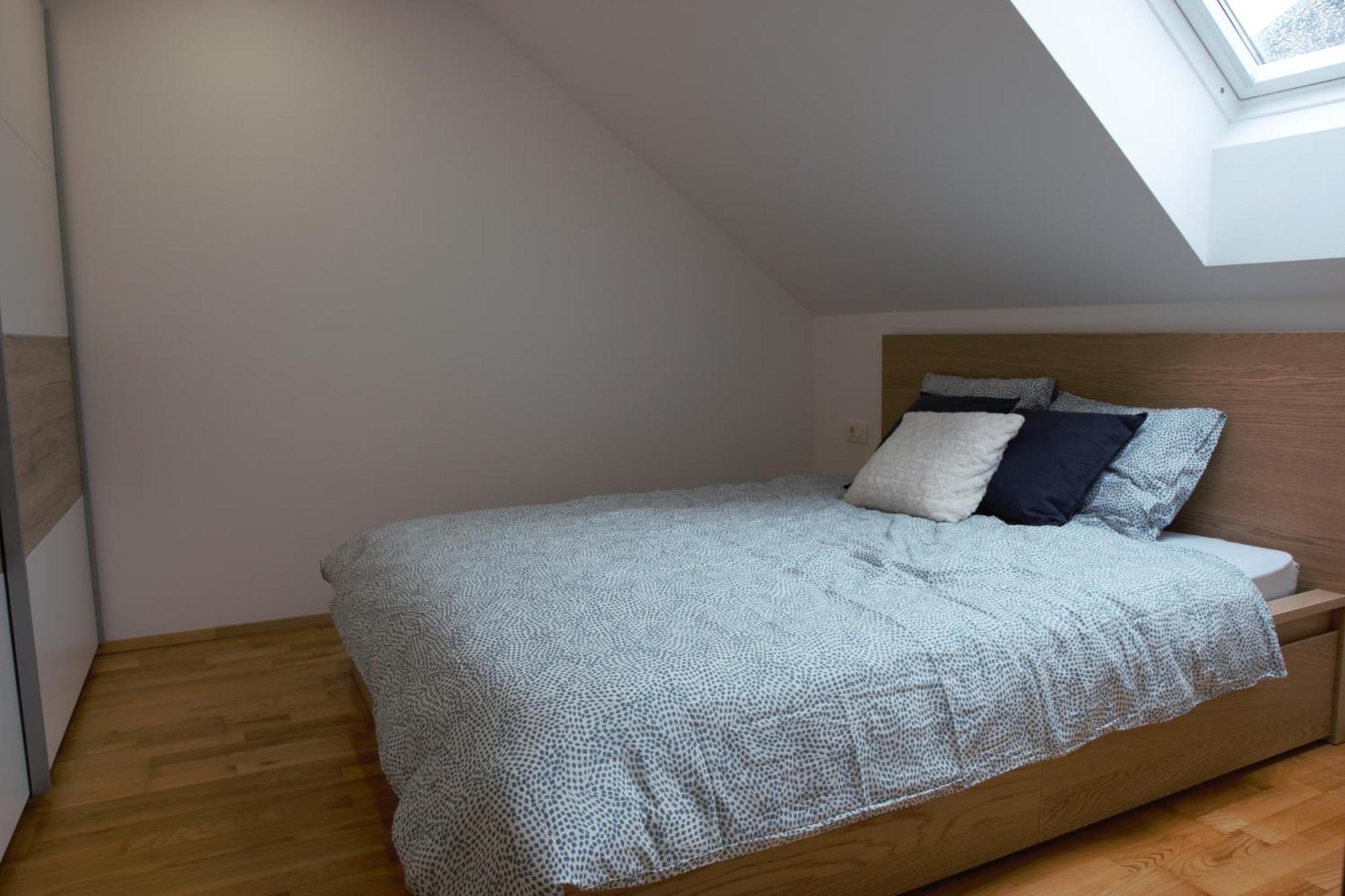 Domen'S Cozy Rentals Kranj Zewnętrze zdjęcie
