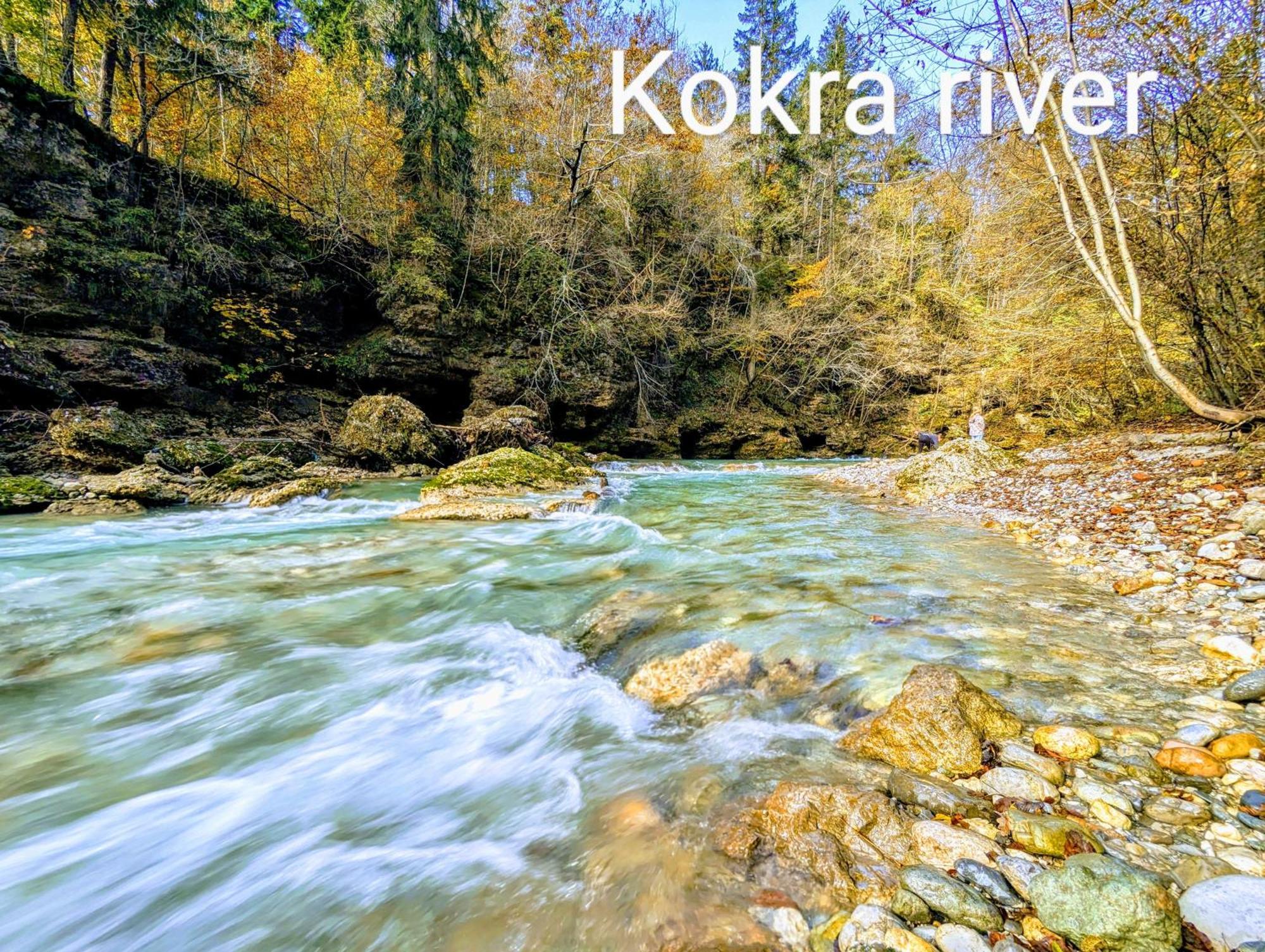 Domen'S Cozy Rentals Kranj Zewnętrze zdjęcie